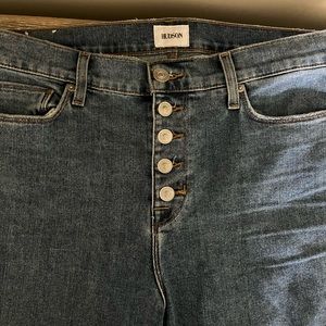 Hudson high waisted skinny jean